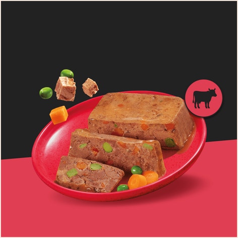CESAR® Teryna z Warzywami z Wołowiną i warzywami ogrodowymi 300 g image 1