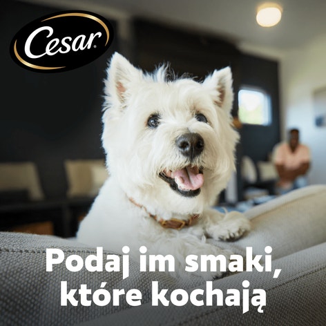 CESAR® Adult Sucha karma dla psów ze Świeżą Wołowiną, Drobiem i Warzywami 800 g image 1