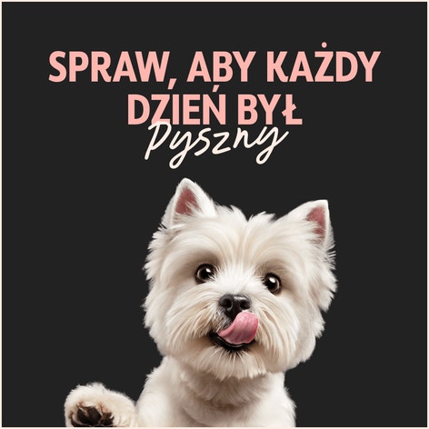 CESAR® Creations Wołowina z marchewką, Kurczak z groszkiem, Jagnięcina z warzywami i Indyk z marchewką w sosie 12×100 g image 1