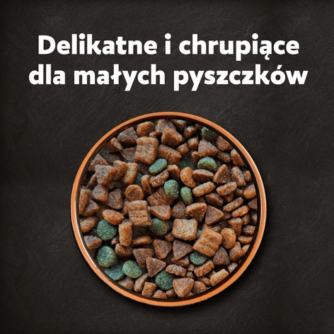 CESAR® Adult Sucha karma dla psów ze Świeżą Wołowiną, Drobiem i Warzywami 800 g image 1