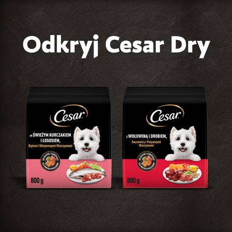 CESAR® Adult Sucha karma dla psów ze Świeżym Kurczakiem, Łososiem i Warzywami 800 g image 1