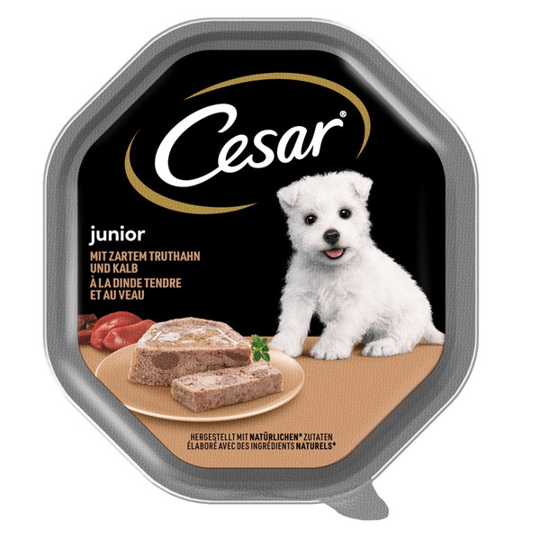 CESAR® Junior z delikatnym indykiem i cielęciną 150g image 1